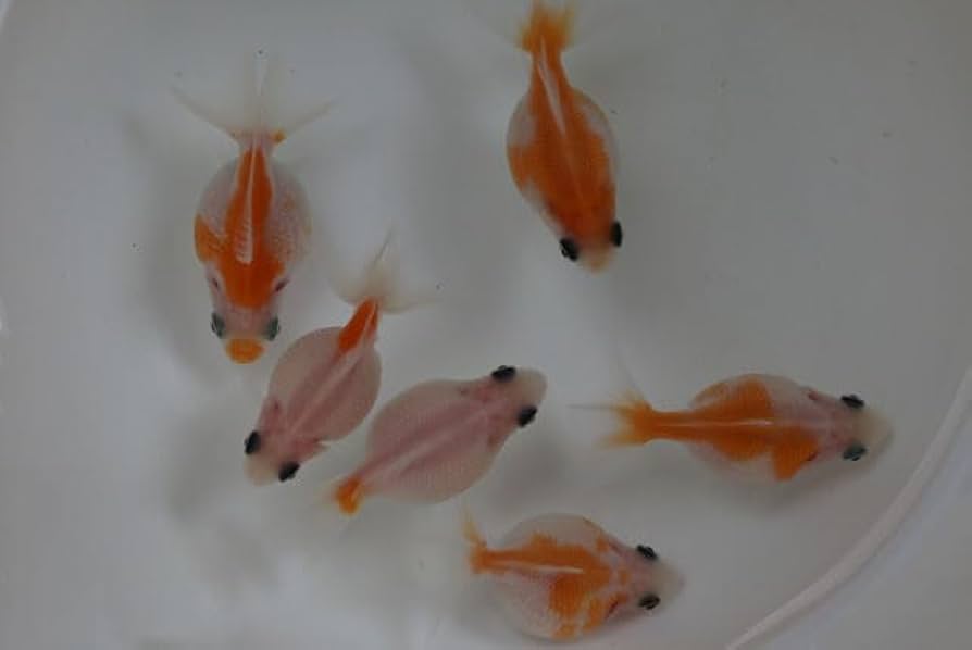 くるこむまとめ売り ペンギン　お魚　花瓶3点まとめ売り　G-1-3 くるこむまとめ売り ペンギン お魚 花瓶3点まとめ売り G-1-3 くる